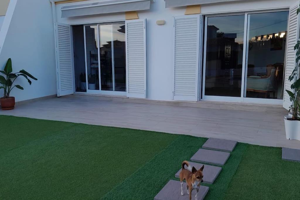 Gale Premium House - Pet Friendly Villa Albufeira Ngoại thất bức ảnh