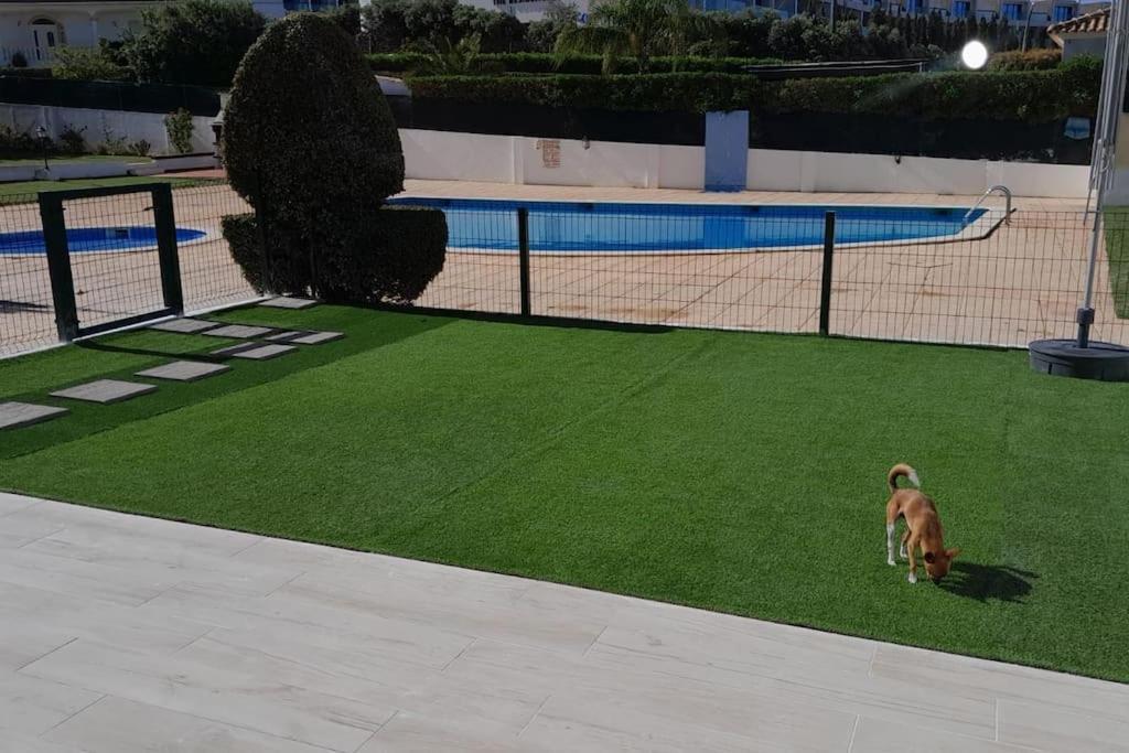 Gale Premium House - Pet Friendly Villa Albufeira Ngoại thất bức ảnh
