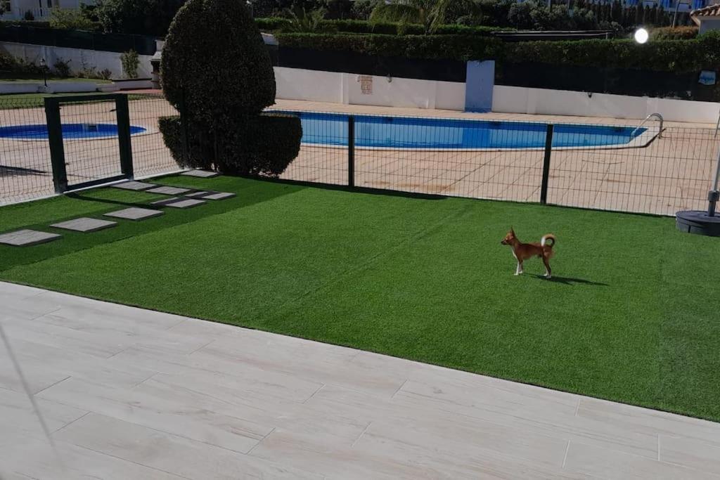 Gale Premium House - Pet Friendly Villa Albufeira Ngoại thất bức ảnh